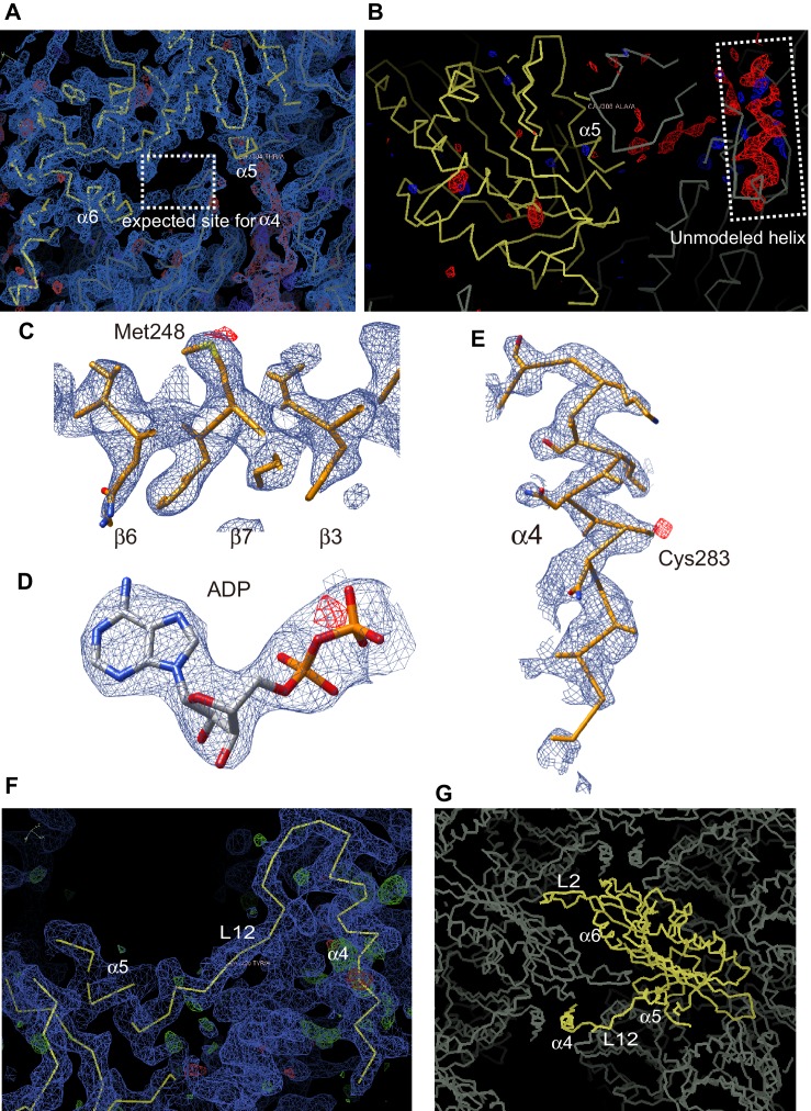 Figure 2—figure supplement 1.