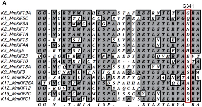 Figure 2—figure supplement 2.