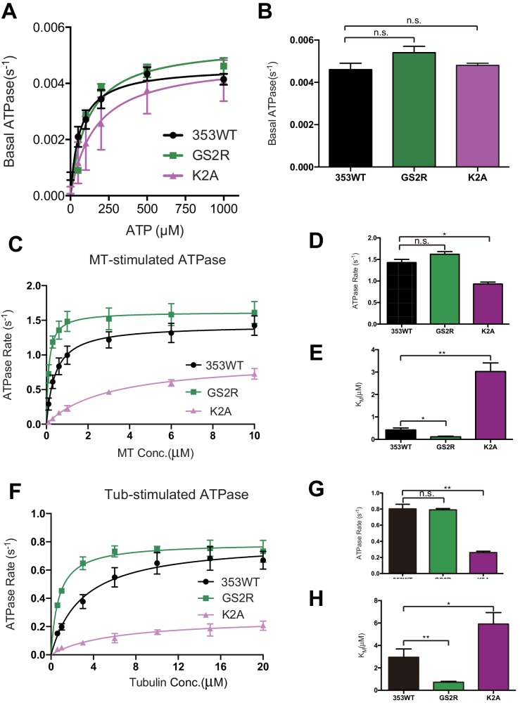 Figure 5—figure supplement 1.