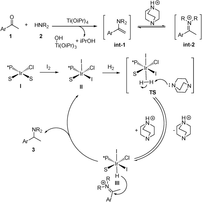 Scheme 4