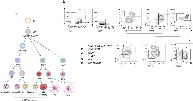 Extended Data Fig. 5