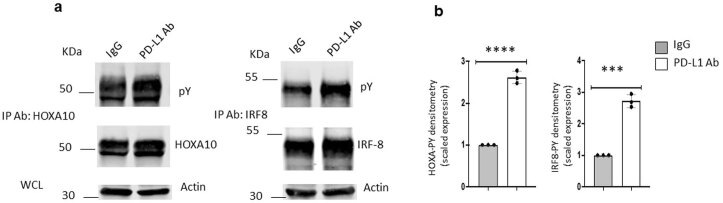 Extended Data Fig. 7