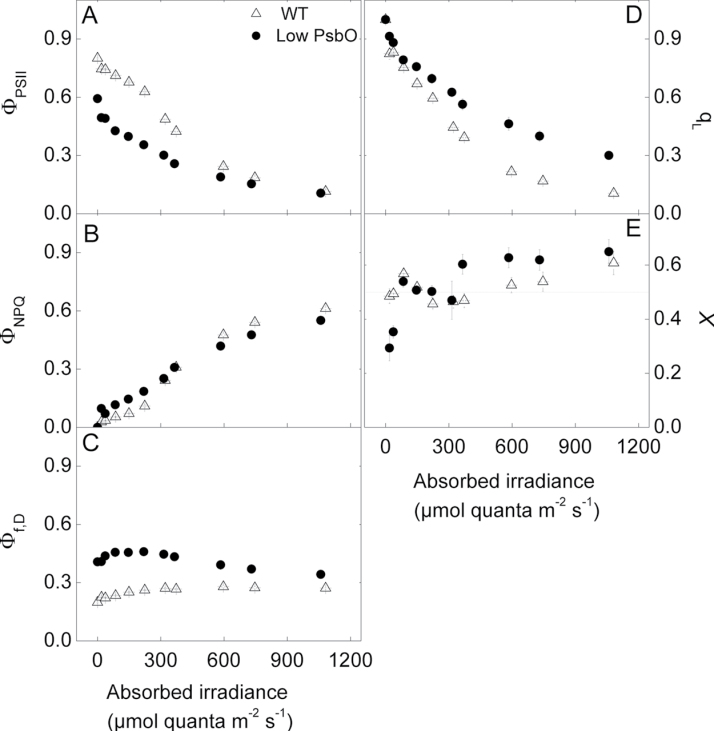 Fig. 9.