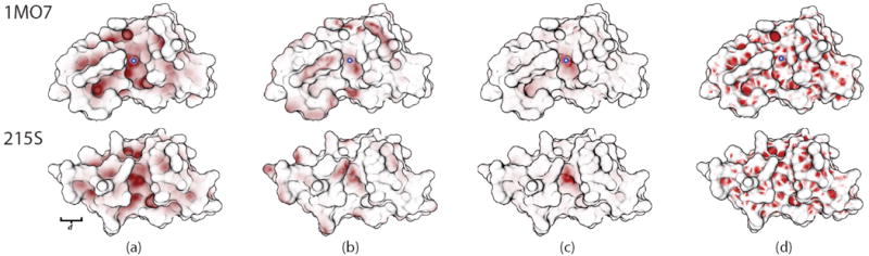 Fig. 8