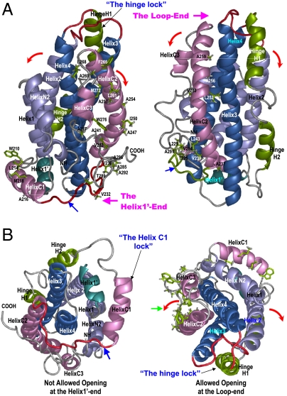 Fig. 3.