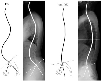 Fig. 4