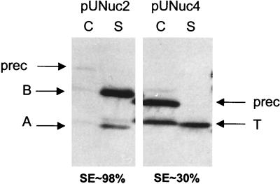 FIG. 5