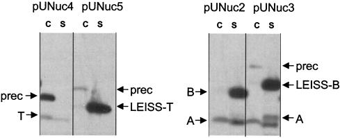 FIG. 6