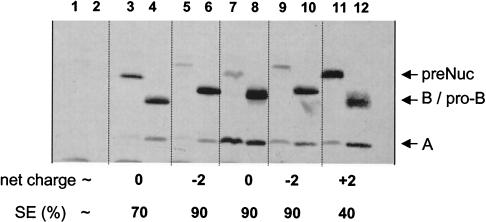 FIG. 7