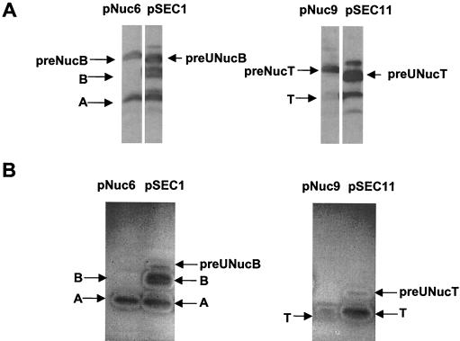 FIG. 4