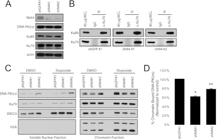 Fig 10