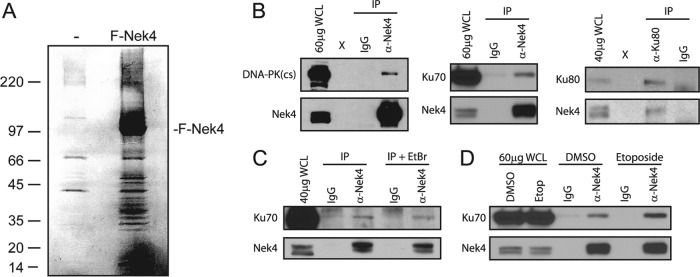 Fig 9