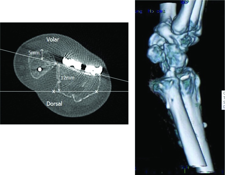 Fig. 5