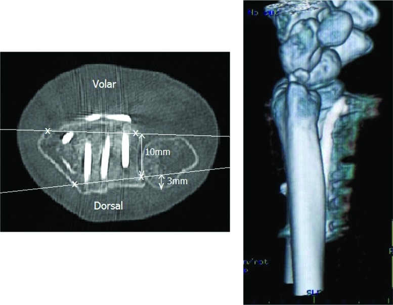 Fig. 8