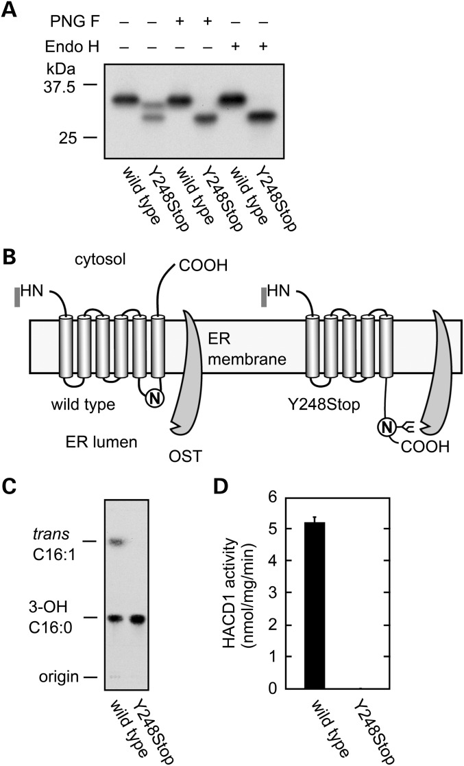 Figure 3.