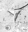 FIG 6