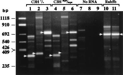 FIG. 7