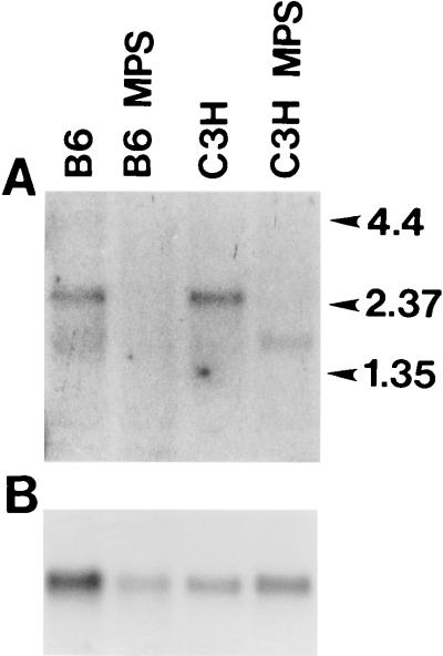 FIG. 6