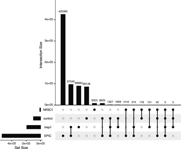 Figure 1—figure supplement 1.