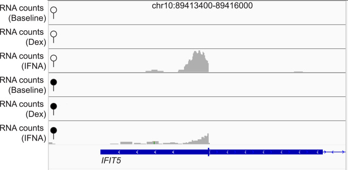 Figure 2—figure supplement 4.