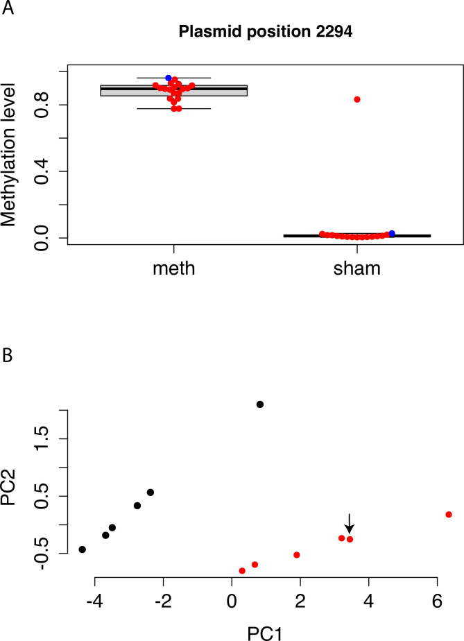 Figure 1—figure supplement 3.