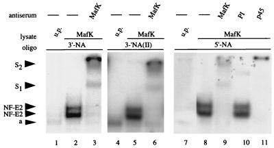 FIG. 6