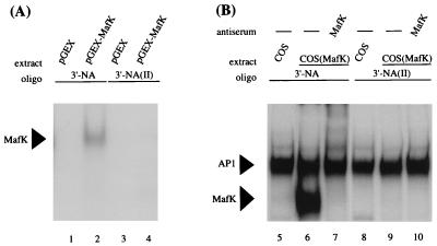 FIG. 8