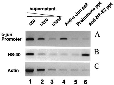 FIG. 9