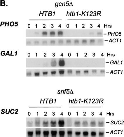 Figure 7.