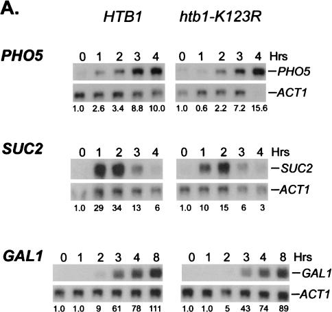 Figure 7.