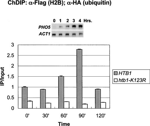 Figure 4.