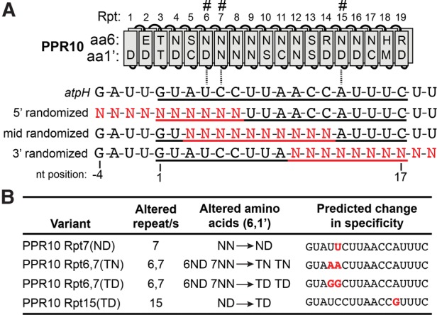 FIGURE 4.