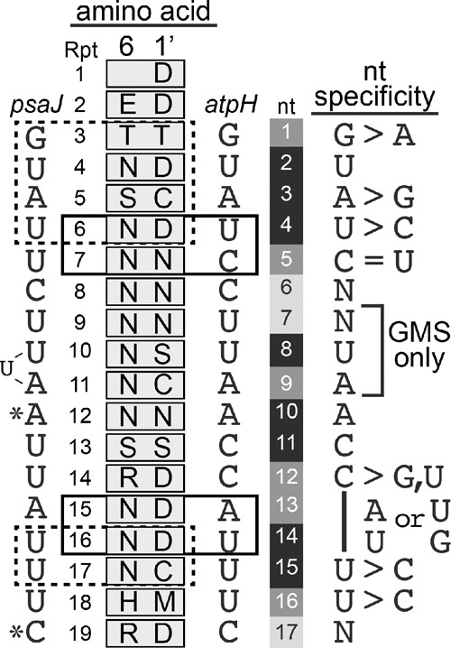 FIGURE 9.