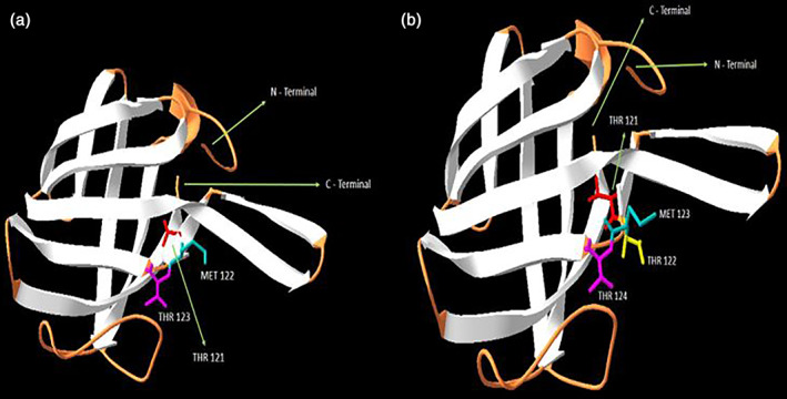 FIGURE 3