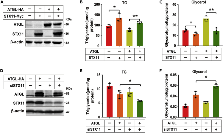 Figure 4