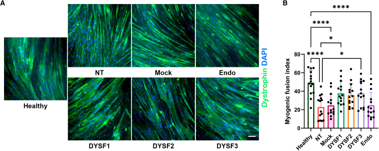 Figure 4
