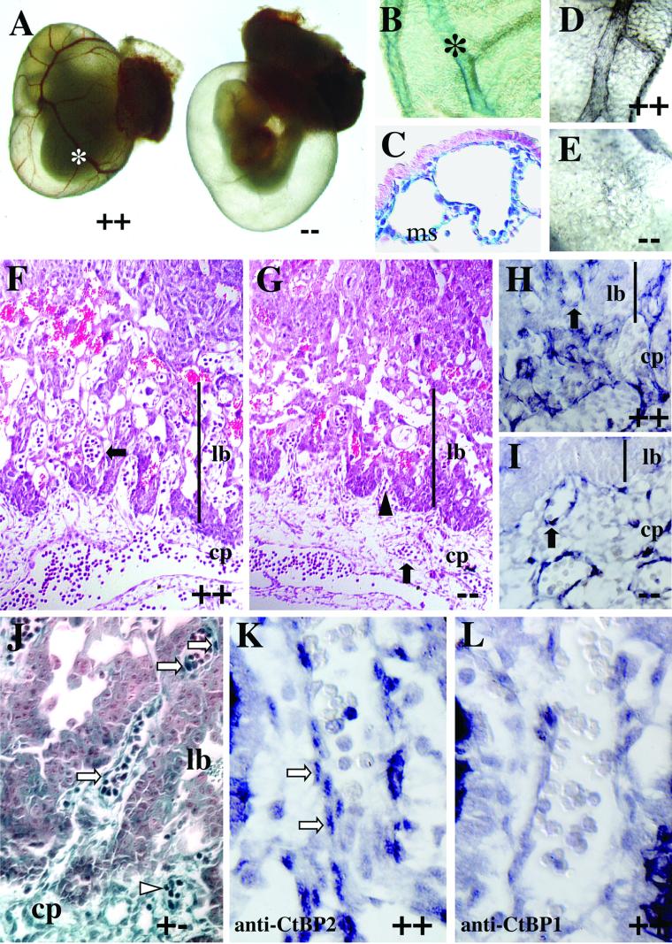 FIG.4.