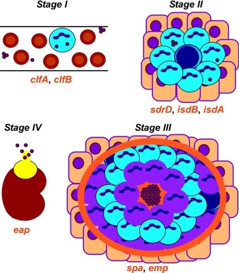 Figure 9.