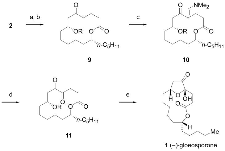 Scheme 3