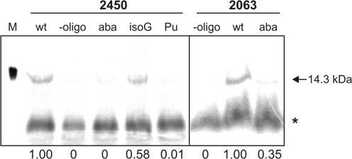 Figure 5.