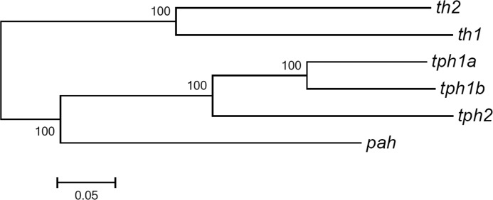 FIGURE 7.