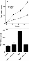 FIG. 4.