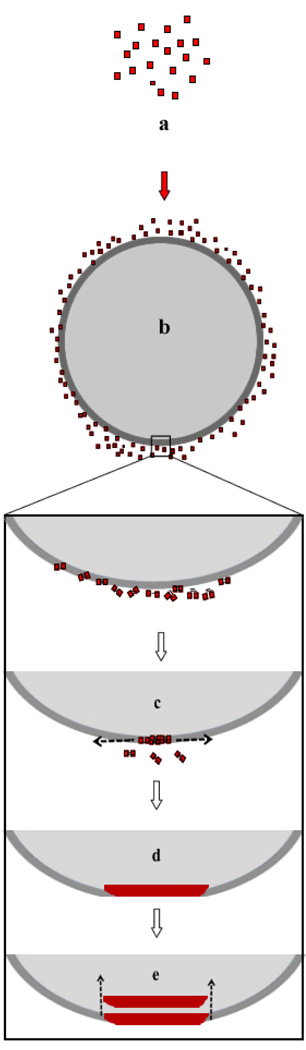 Fig. 8