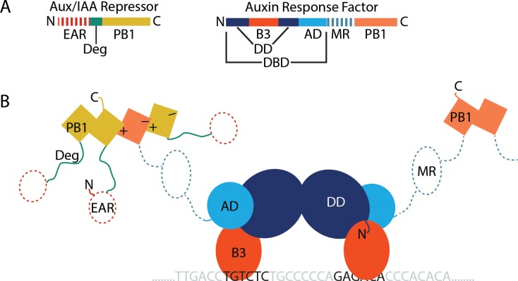 Figure 1.