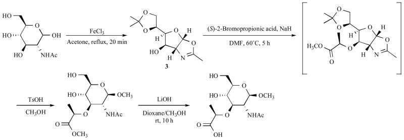Scheme 4
