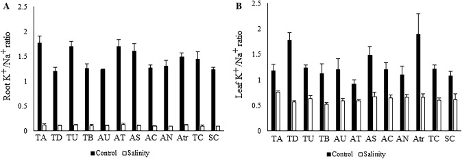 Fig. 2