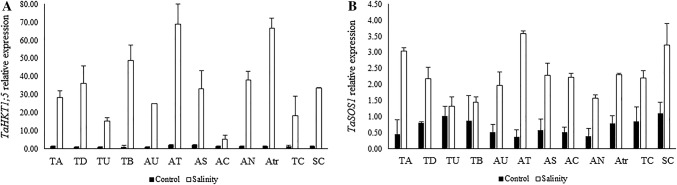 Fig. 4