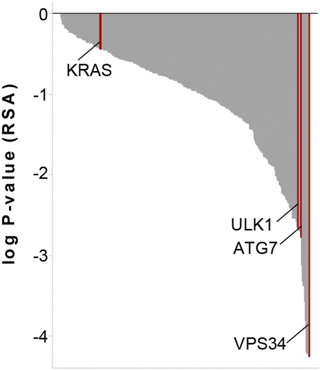 Fig. S2.