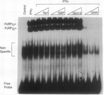 graphic file with name pnas01098-0326-a.jpg