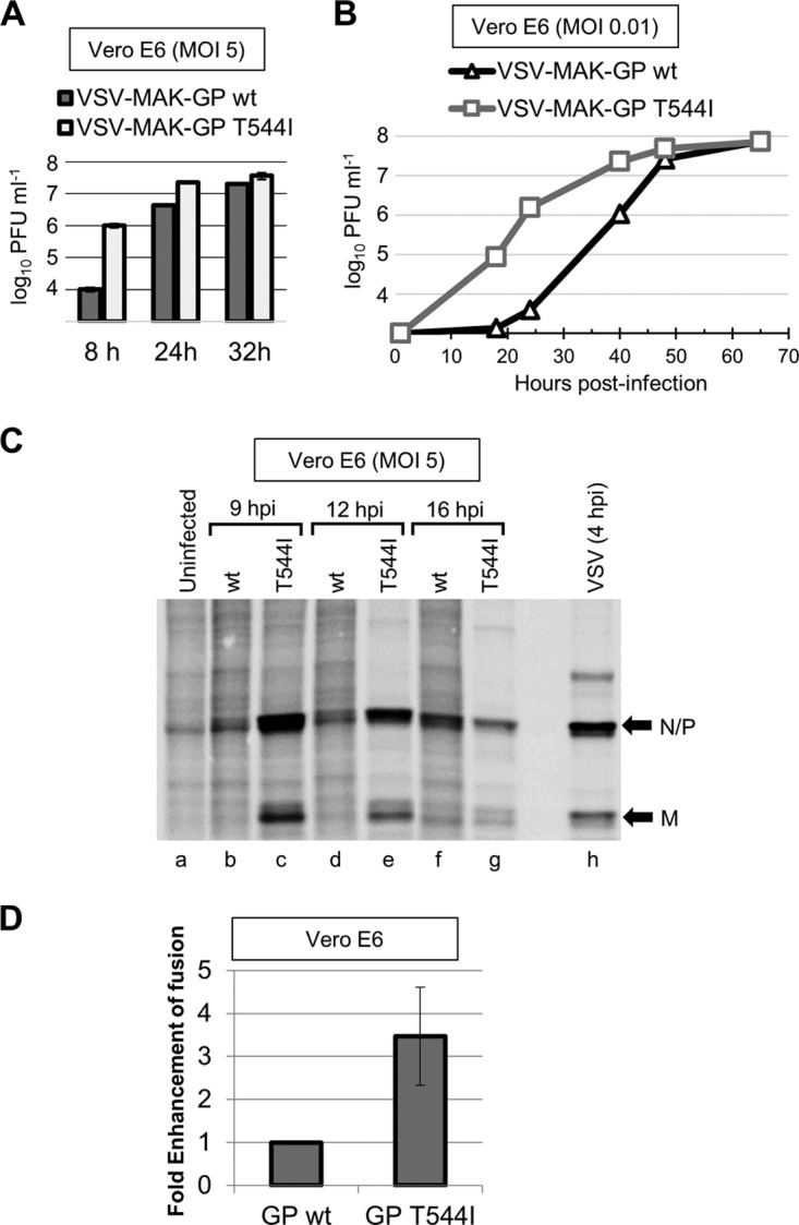 FIG 3